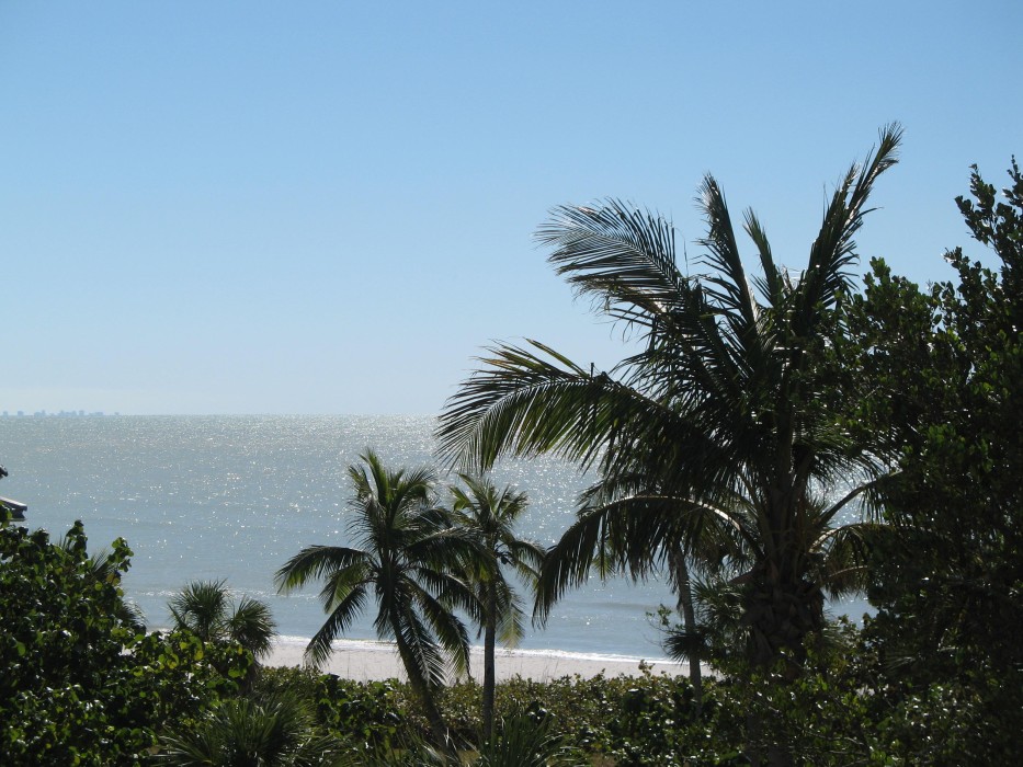 There's a great morning view from the kitchen window