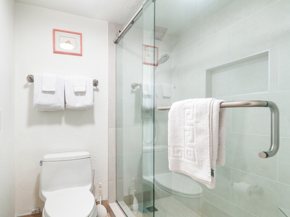 Master bath walk-in shower