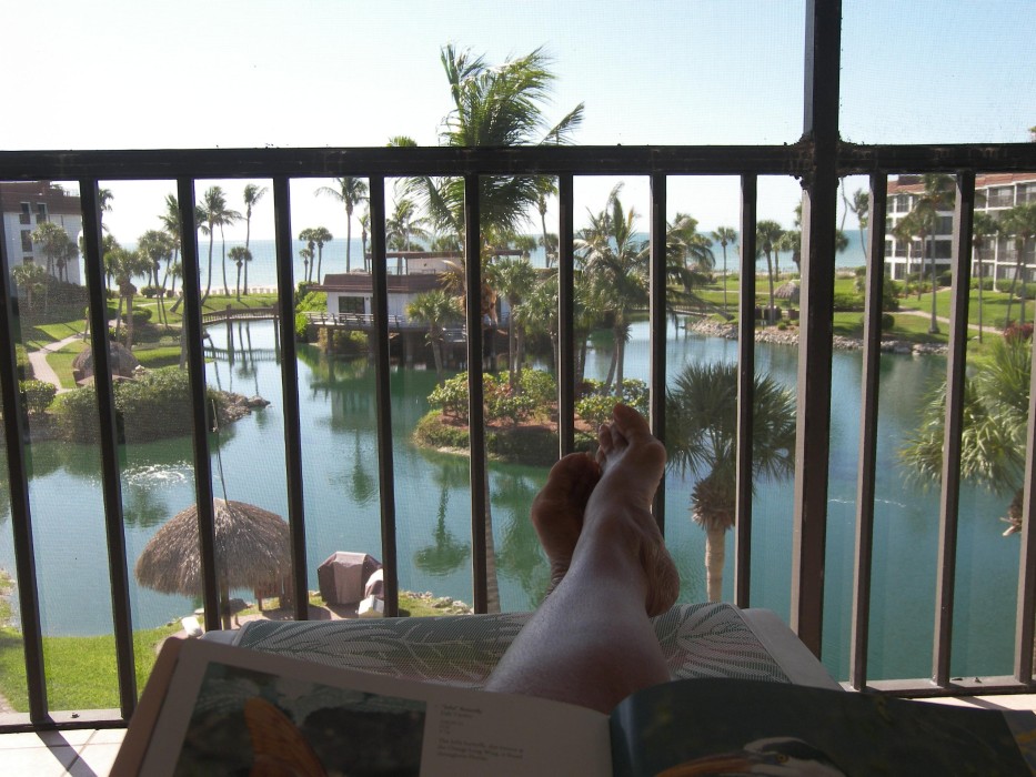 Central view of lake and gulf from Lanai.