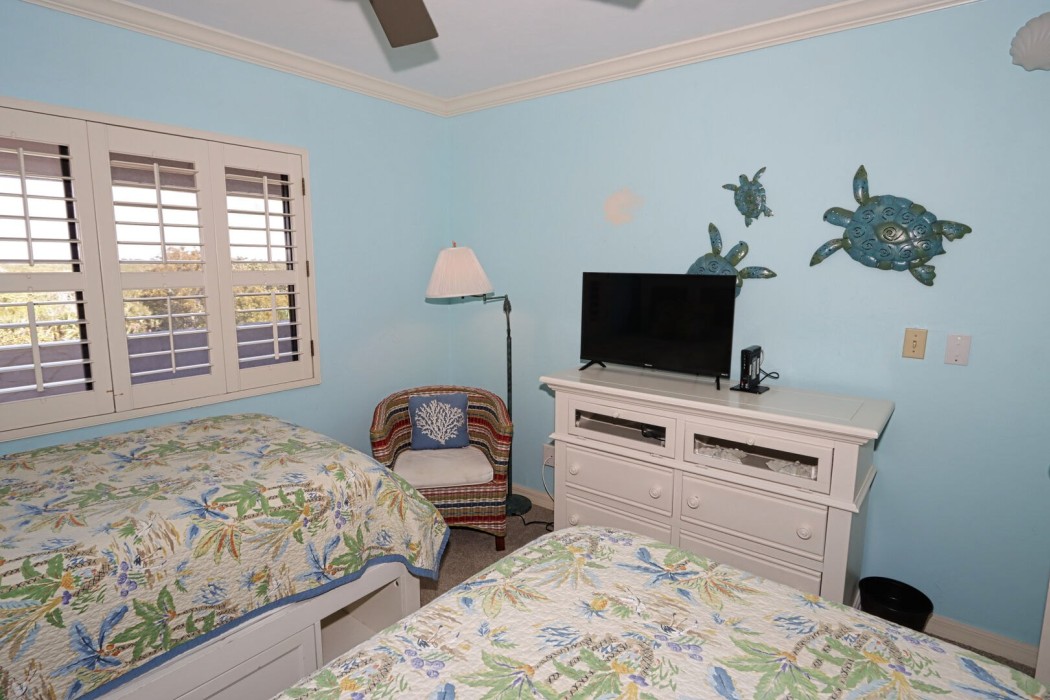 Twin Guest bedroom and TV
