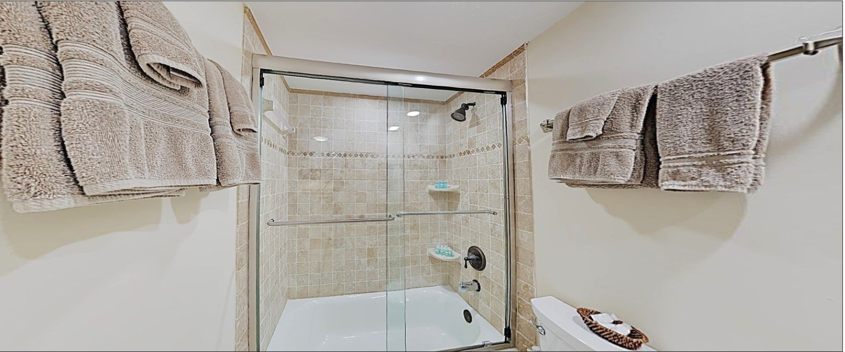 E45: Guest Bathroom Shower