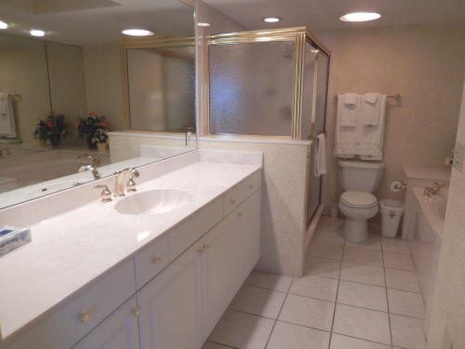 Master Bath with walk-in shower and separate soaking tub