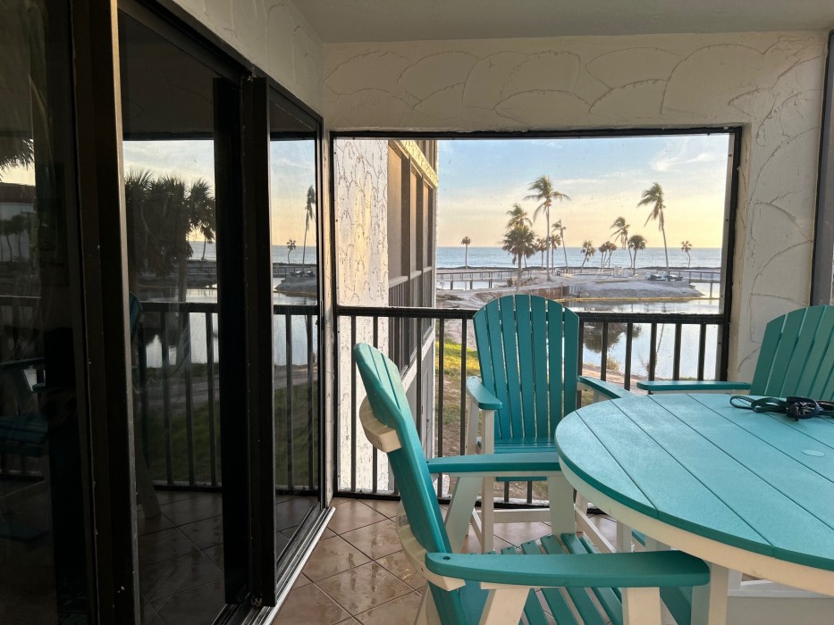 View from the lanai and table