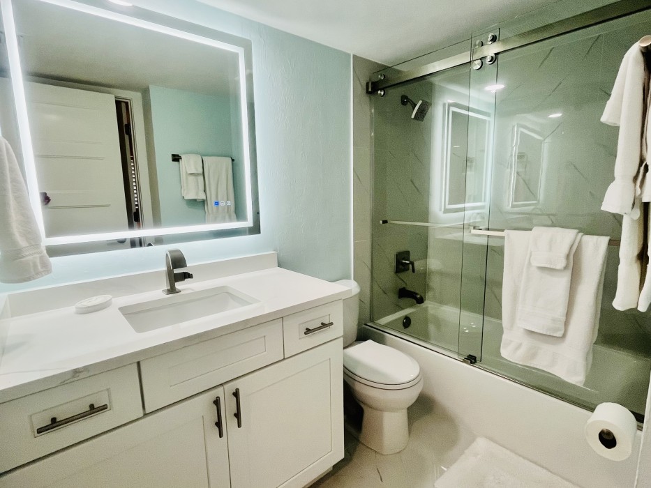 Guest Bathroom IMG 5620 2 copy