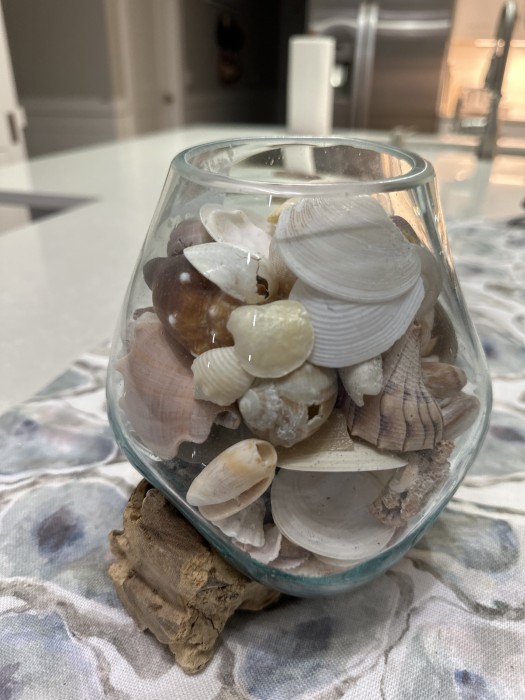 Treasures From The Beach