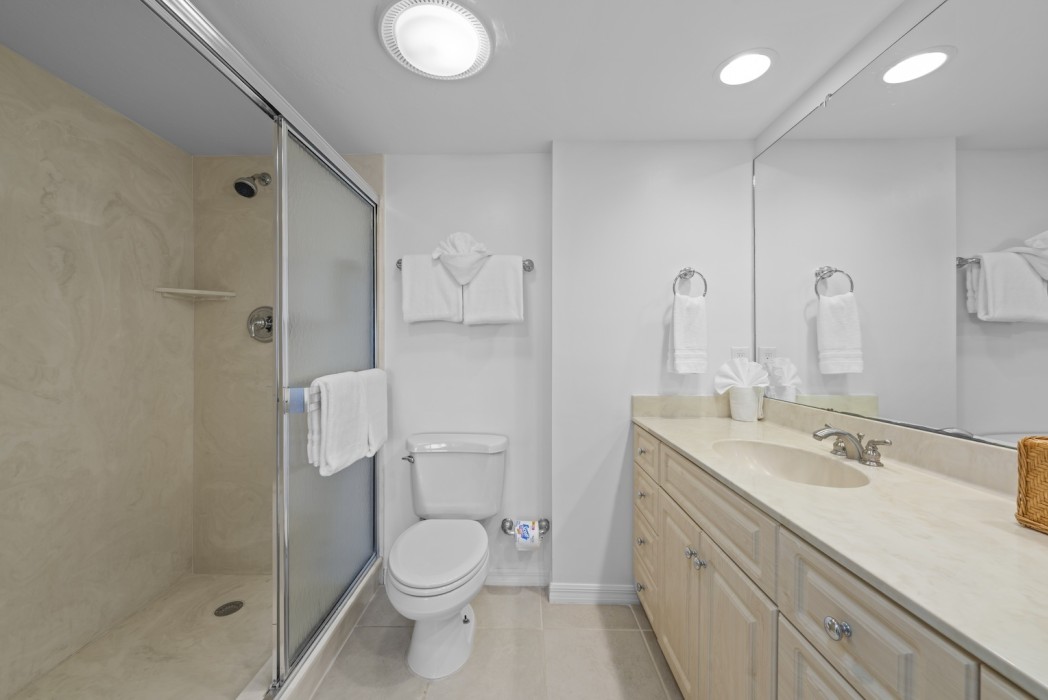 Primary Bathroom 1b