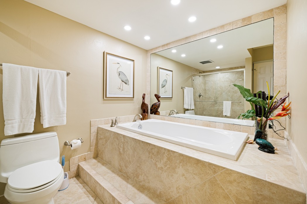 Bonus in master bathroom:  large soaking tub!