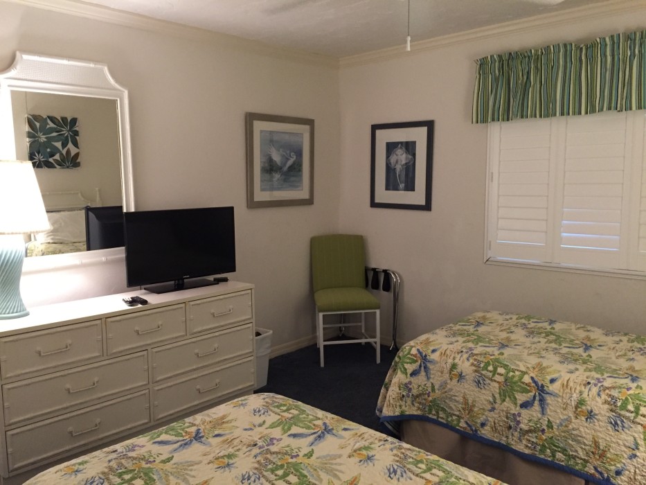 Guest Room with flat screen TV