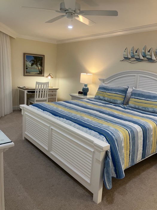 Master bedroom w/King bed