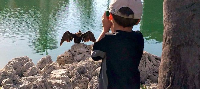 Watch Wildlife
